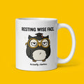 Resting Wise Face Funny Owl Mug Cute Owl Coffee Cup Gift