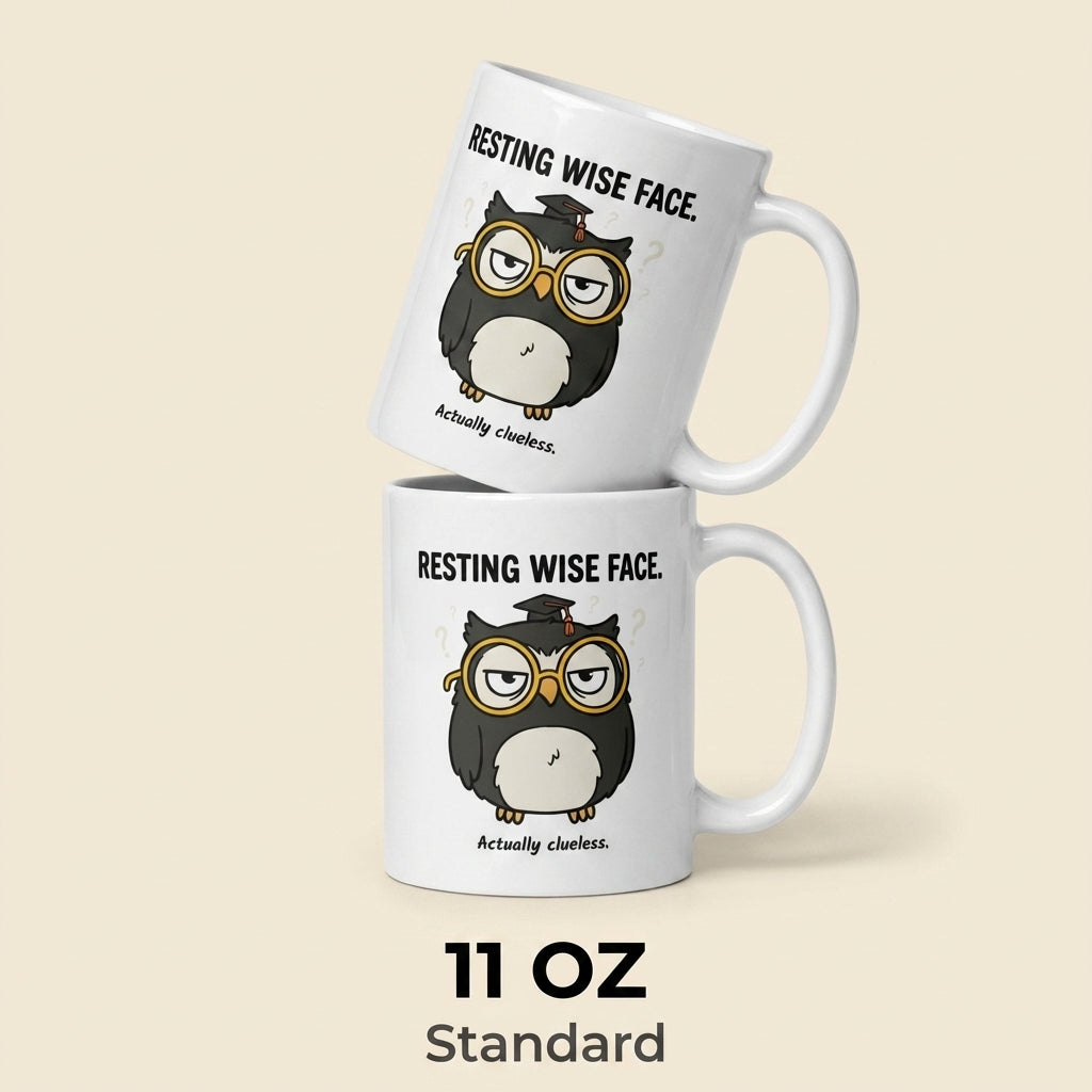 Resting Wise Face Funny Owl Mug Cute Owl Coffee Cup Gift