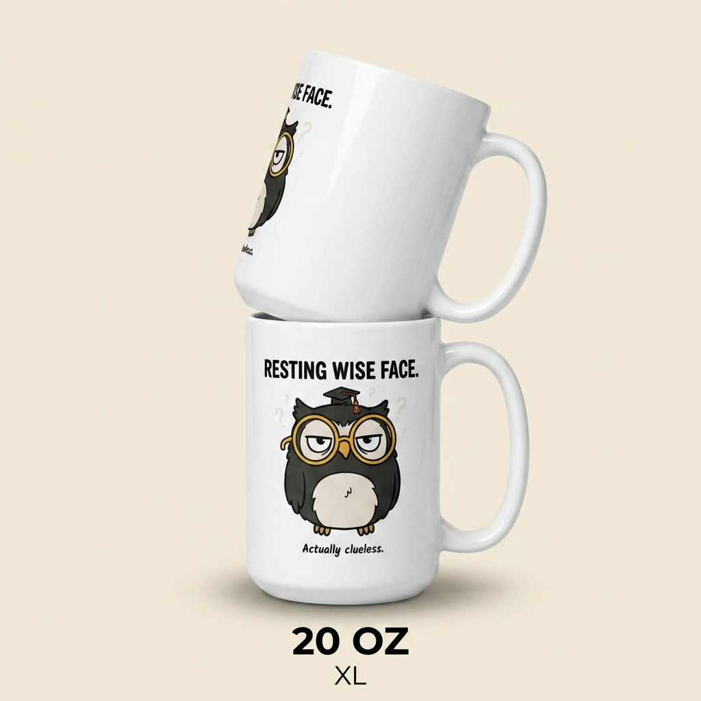 Resting Wise Face Funny Owl Mug Cute Owl Coffee Cup Gift
